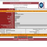 Consulta y Paga el Impuesto Vehicular en Ibague 2025