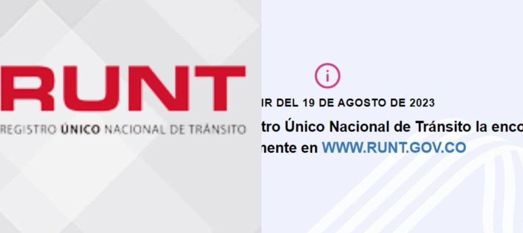 RUNT 2.0: Novedades y Actualizaciones